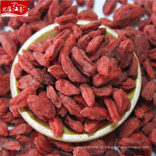 Fornecimento de fábrica por atacado china goji